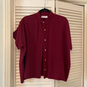 Everlane Silk Burgundy Buttoned Shirt
